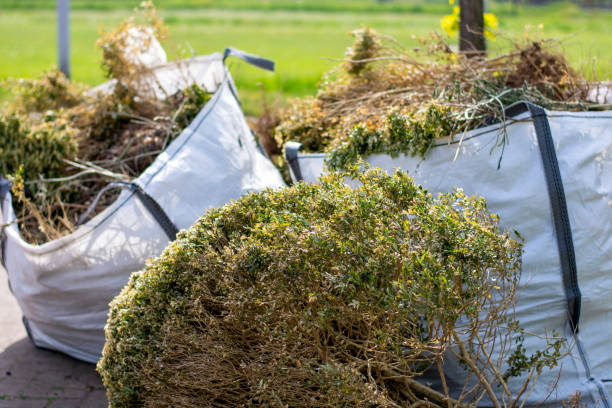 Best Appliance Removal  in Tangelo Park, FL